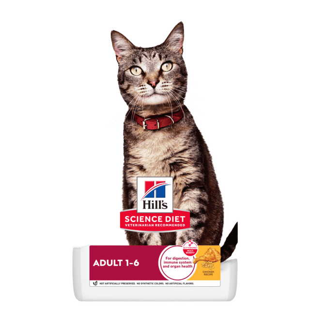 Hill's Science Diet Adult Dry Cat Food - 20kg (2 X 10kg Bags)