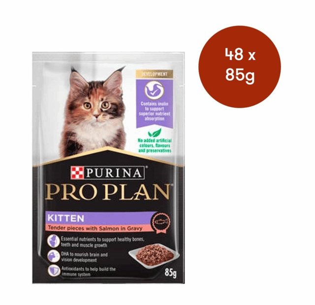 Pro Plan Kitten Salmon In Gravy Wet Cat Food - 85g X 48
