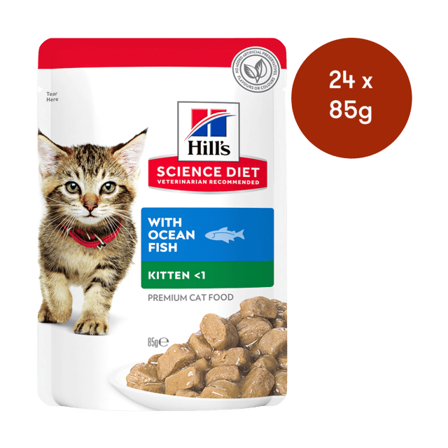 Hill's Science Diet Kitten Ocean Fish Wet Cat Food - 85g X 24