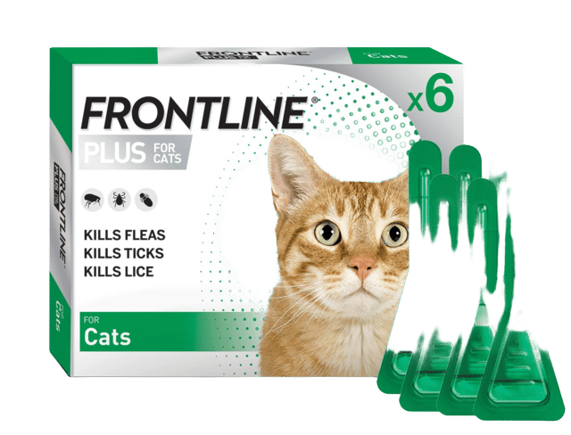 Frontline Plus Spot-On Flea & Tick Treatment For Cats - 6 Pack