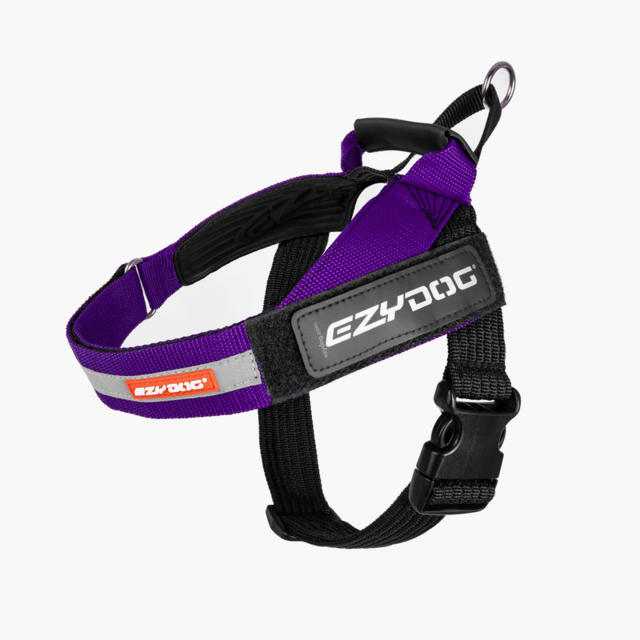 Ezydog Express Dog Harness - Medium, Purple