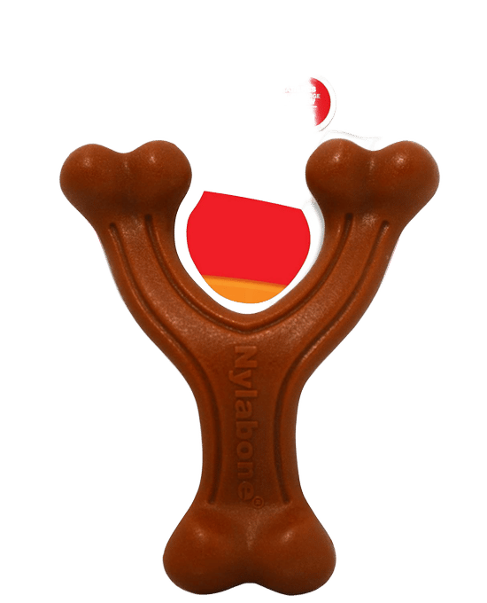 Nylabone Power Chew Wishbone Bison Dog Chew Toy - Small