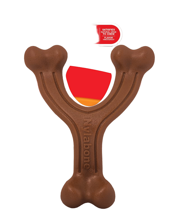 Nylabone Power Chew Wishbone Bison Dog Chew Toy - Large