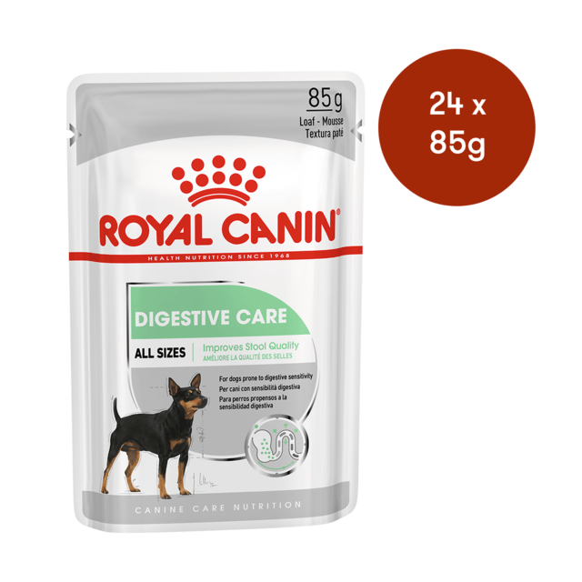 Royal Canin Digestive Care Loaf Wet Dog Food - 85g X 24