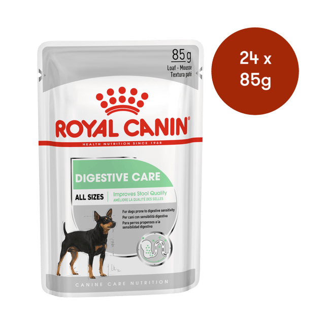 Royal Canin Digestive Care Loaf Wet Dog Food - 85g X 24