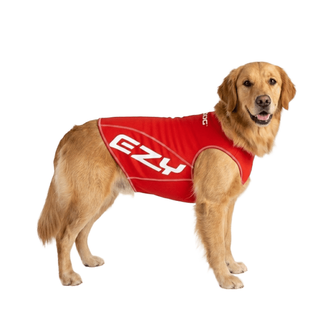 Ezydog Dog Rashie 50+ Uv - Large