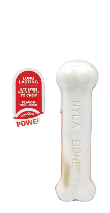 Nylabone Power Chew Chicken Bone Dog Chew Toy - Petite