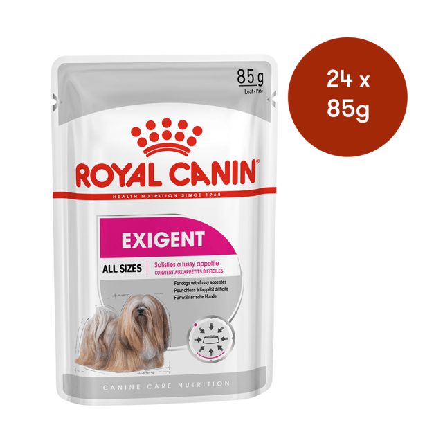 Royal Canin Exigent Loaf Adult Wet Dog Food - 85g X 24
