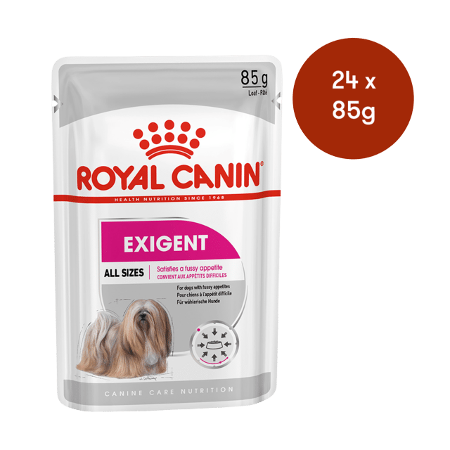 Royal Canin Exigent Loaf Adult Wet Dog Food - 85g X 24
