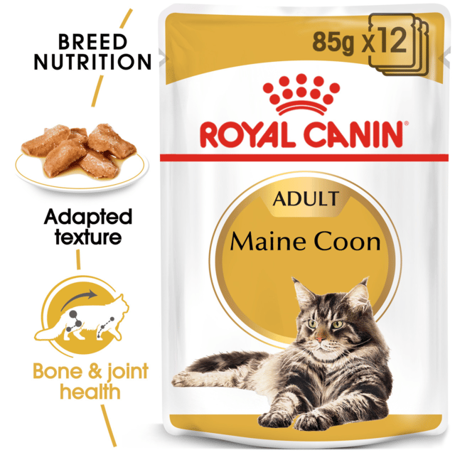Royal Canin Maine Coon Adult Wet Cat Food