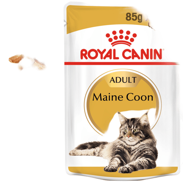 Royal Canin Maine Coon Adult Wet Cat Food