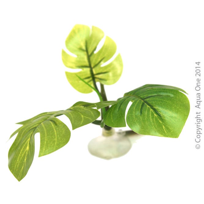 Aqua One Hammock Green Betta Plant 10cm