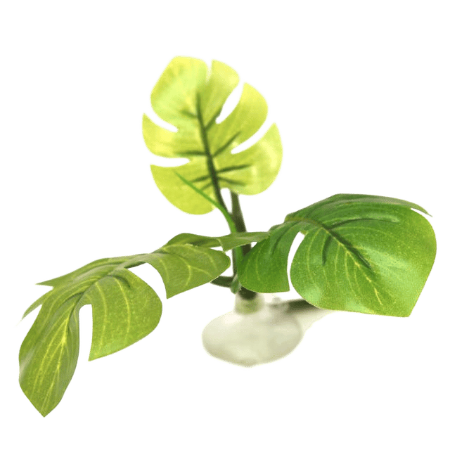 Aqua One Hammock Green Betta Plant 10cm