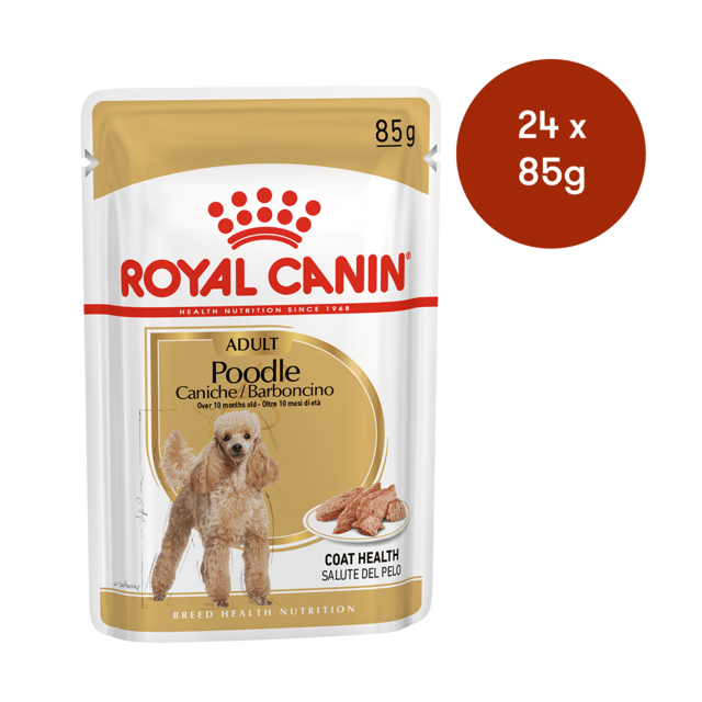 Royal Canin Poodle Adult Wet Dog Food - 85g X 24