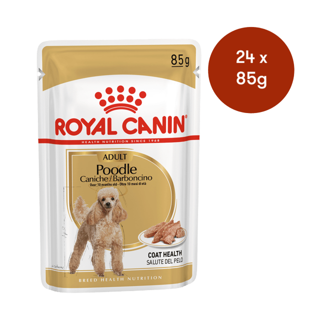 Royal Canin Poodle Adult Wet Dog Food - 85g X 24