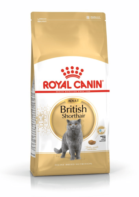Royal Canin British Shorthair Adult Dry Cat Food