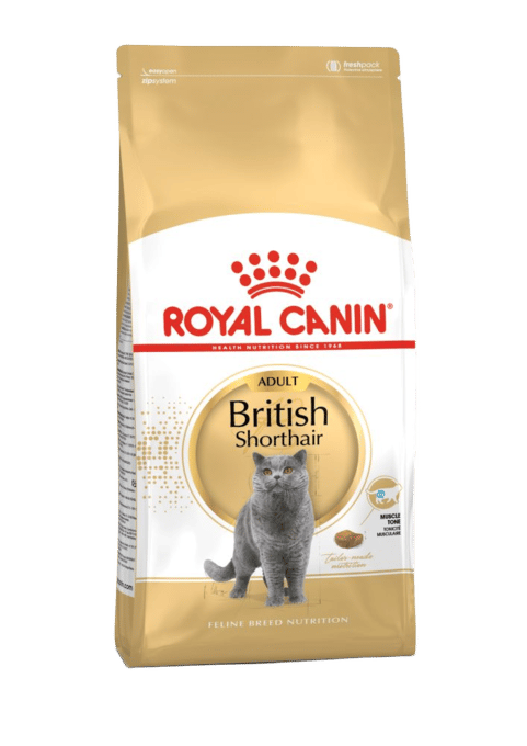 Royal Canin British Shorthair Adult Dry Cat Food