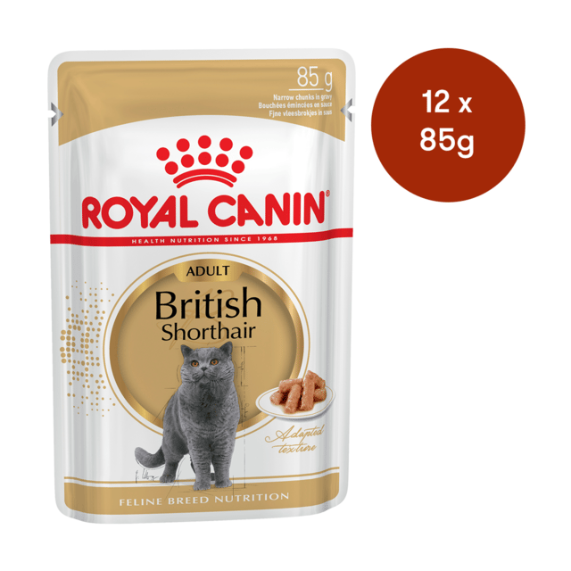 Royal Canin British Shorthair Adult Wet Cat Food - 85g X 12