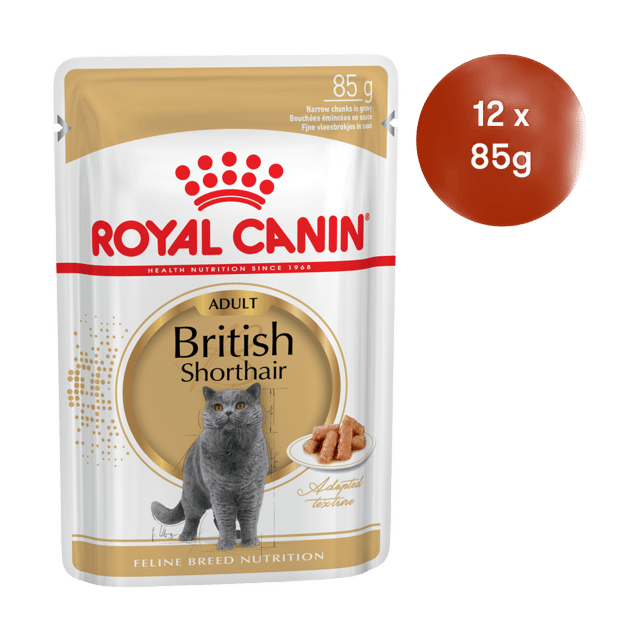 Royal Canin British Shorthair Adult Wet Cat Food - 85g X 12