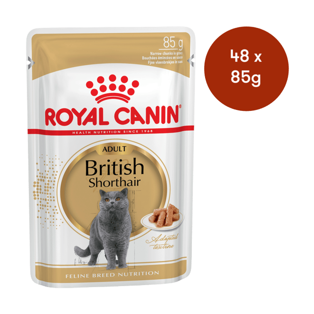 Royal Canin British Shorthair Adult Wet Cat Food - 85g X 48