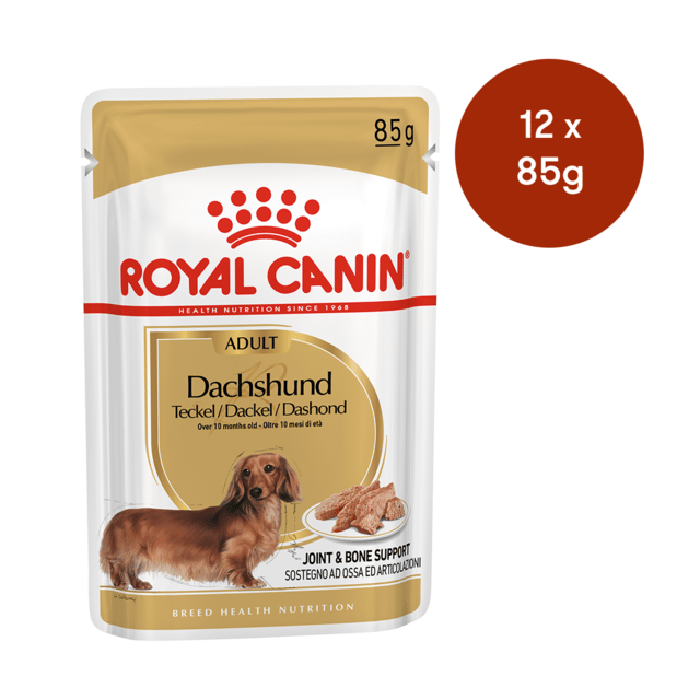Royal Canin Dachshund Wet Dog Food - 85g X 12
