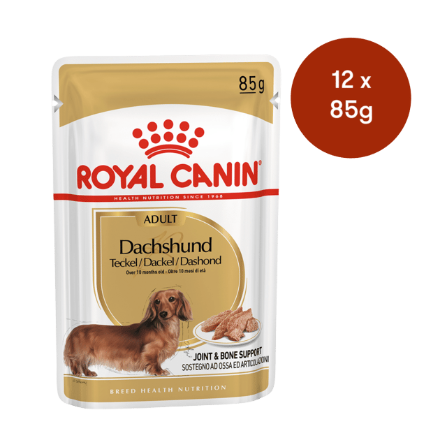 Royal Canin Dachshund Wet Dog Food - 85g X 12