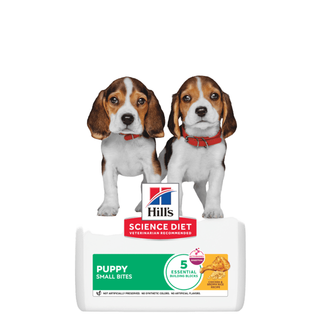 Hill's Science Diet Puppy Small Bites Dry Dog Food - 4kg (2 X 2kg Bags)