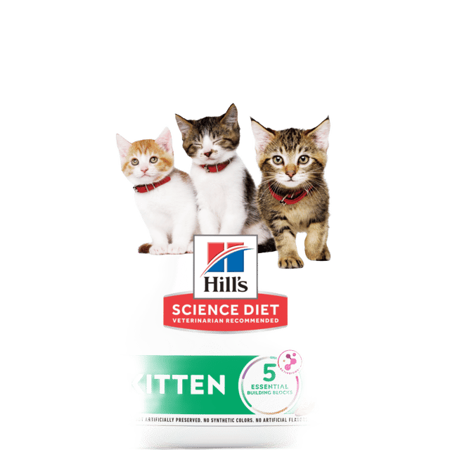 Hill's Science Diet Kitten Dry Cat Food - 8kg (2 X 4kg Bags)