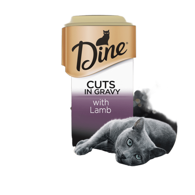 Dine Cuts In Gravy With Lamb Wet Cat Food - 85g X 28