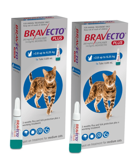 Bravecto Plus Spot-On Flea Tick & Worm Treatment For Cats - 2 X 2.8