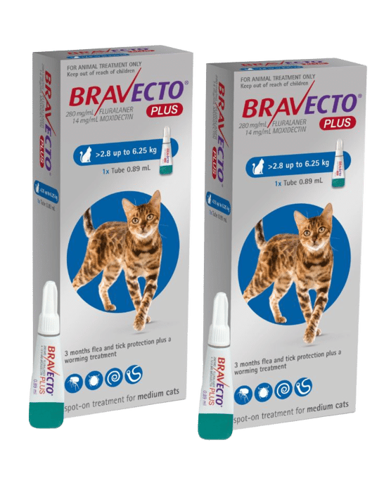 Bravecto Plus Spot-On Flea Tick & Worm Treatment For Cats - 2 X 2.8