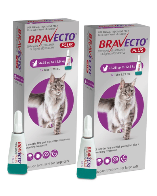 Bravecto Plus Spot-On Flea Tick & Worm Treatment For Cats - 2 X 6.25