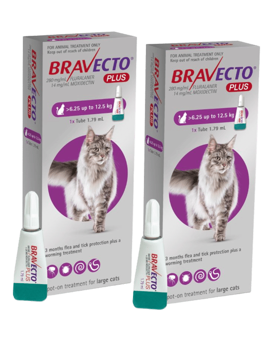 Bravecto Plus Spot-On Flea Tick & Worm Treatment For Cats - 2 X 6.25
