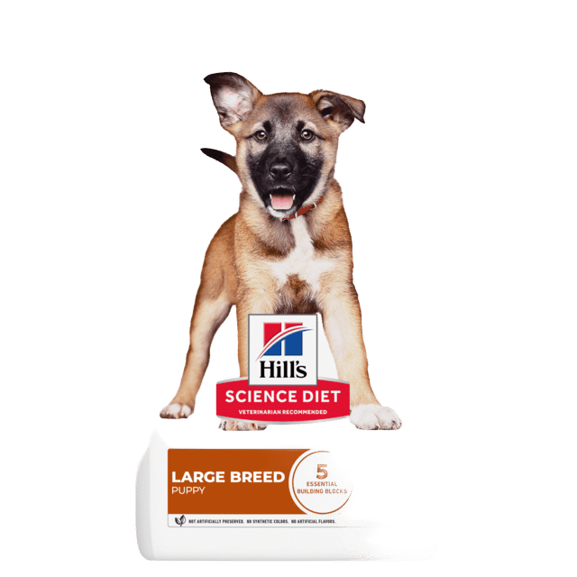 Hill's Science Diet Puppy Large Breed Dry Dog Food - 6kg (2 X 3kg Bags)