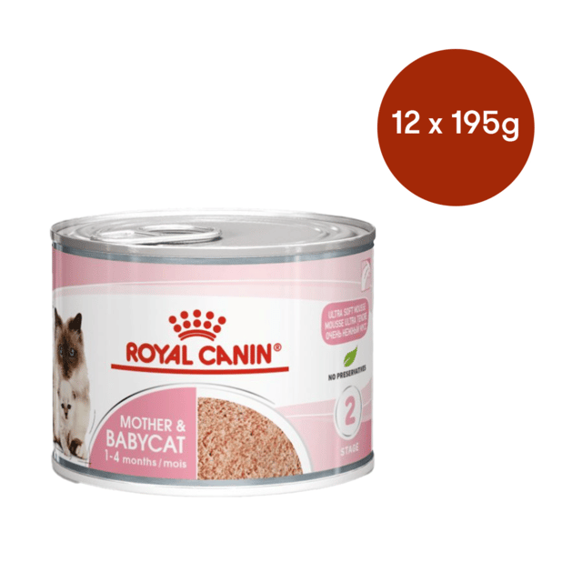 Royal Canin Mother & Babycat Mousse Canned Wet Cat Food - 195g X 12
