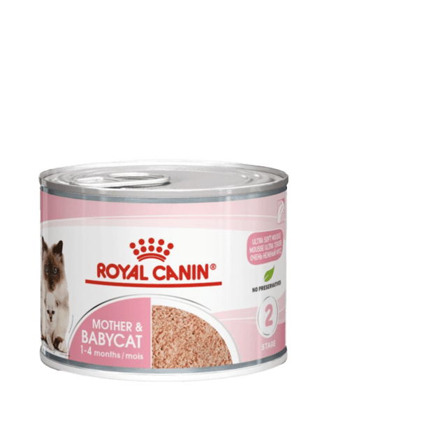 Royal Canin Mother & Babycat Mousse Canned Wet Cat Food - 195g X 12