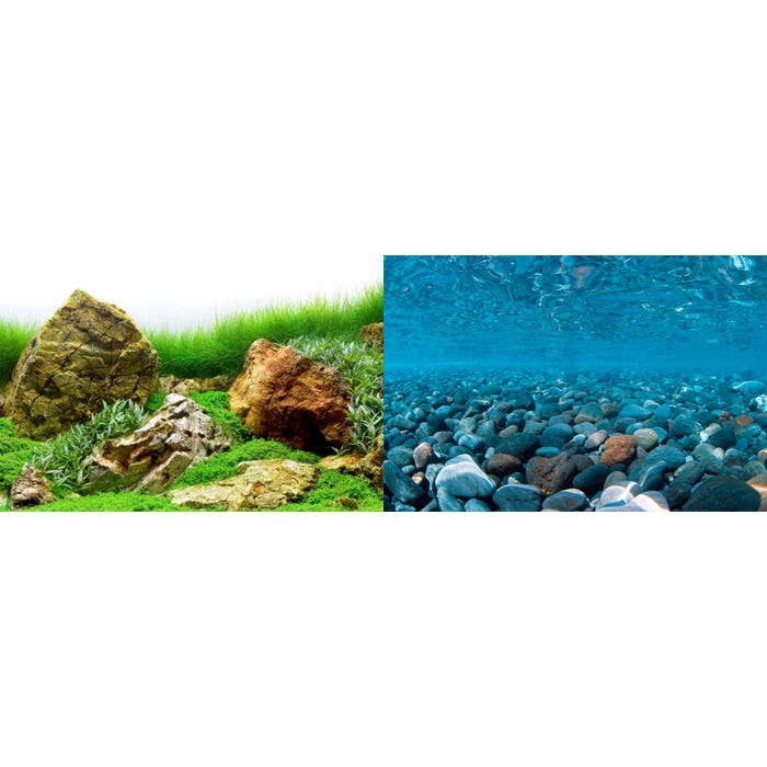 Seaview Background River Rock/Sea Of Green 60X120cm