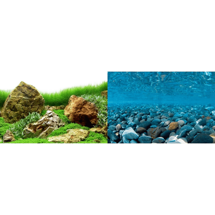 Seaview Background River Rock/Sea Of Green 60X120cm