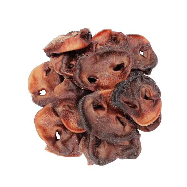 Pig Snouts - Single