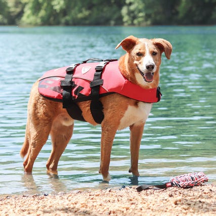 Ezydog Red Floatation Vest Large