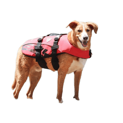 Ezydog Red Floatation Vest Large