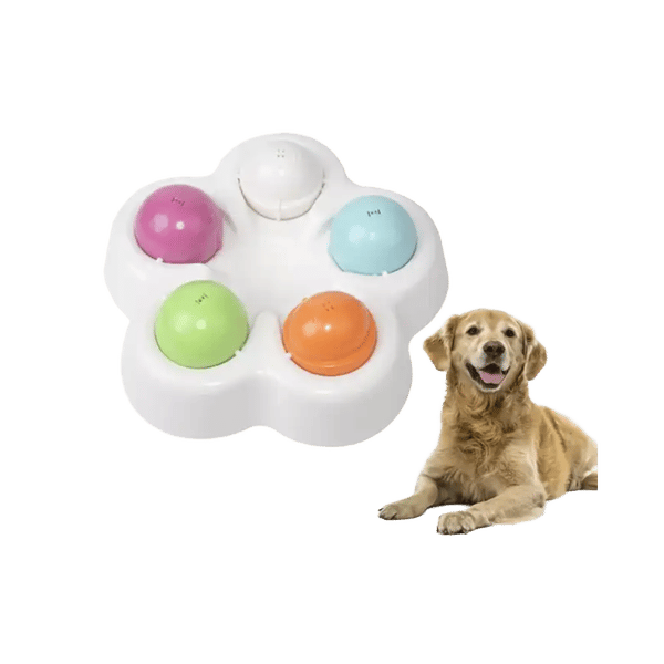 Scavenger Hunt Puzzle Bowl