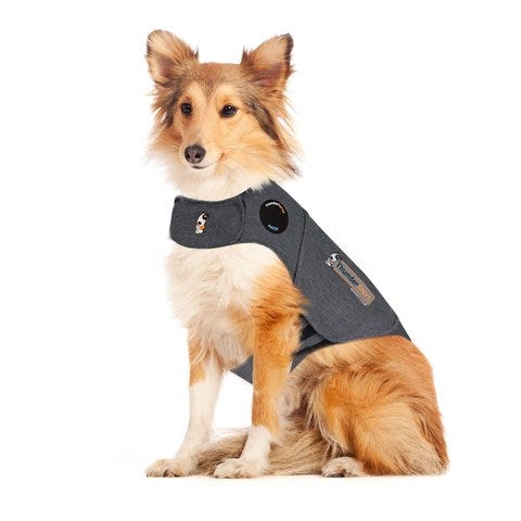 Thundershirt Grey Dog Calming Polo Large