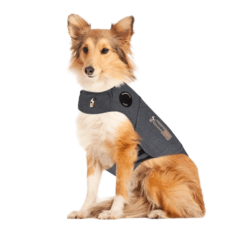 Thundershirt Grey Dog Calming Polo Large