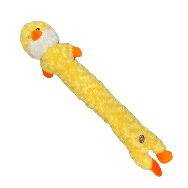 Longidudes Chick