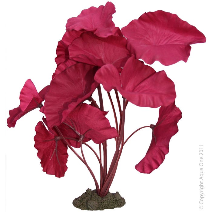 Aqua One Red Tiger Lotus Silk Plant 20cm