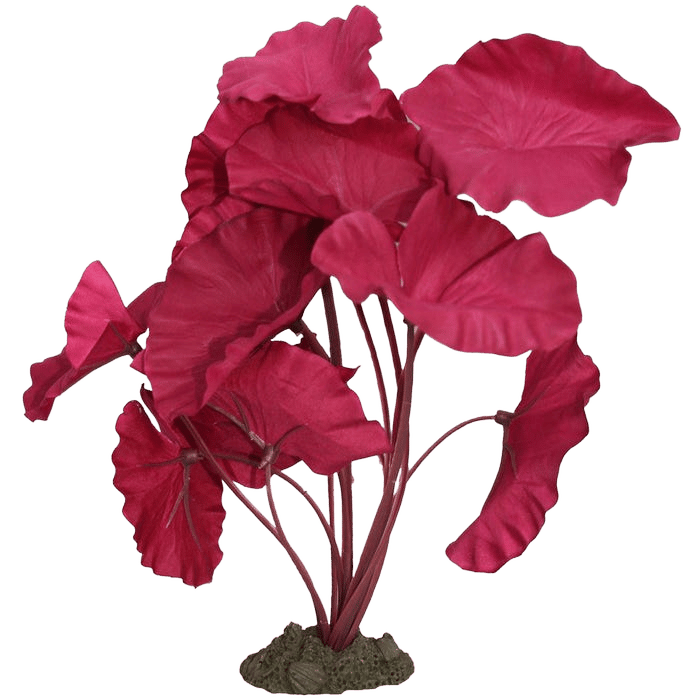 Aqua One Red Tiger Lotus Silk Plant 20cm