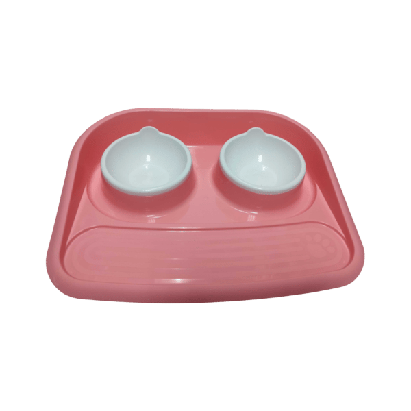 Feeding Station With Removeable Platter