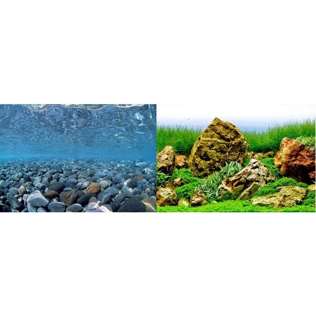 Seaview Background River Rock/Sea Of Green 30X60cm