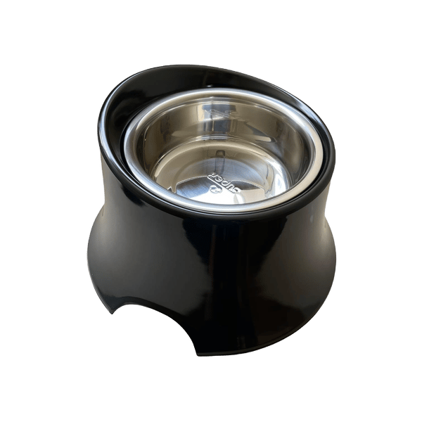 Large Elevated Dog Bowl